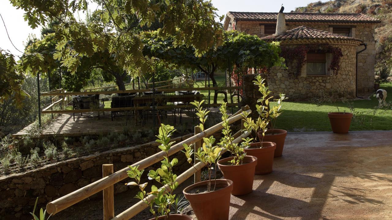 Abejas 1 De El Vergel De Chilla Candeleda Exterior photo